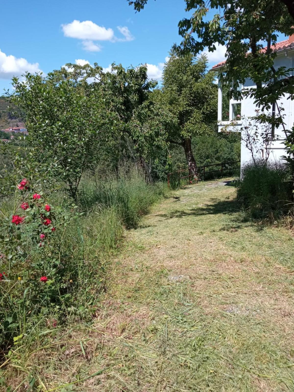 O Salgueiral Villa Castro Caldelas Buitenkant foto